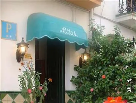 Mitus * Canet De Mar