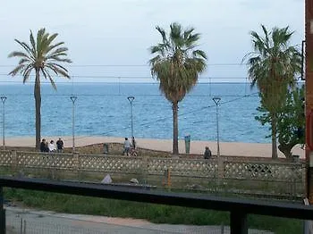 Mitus * Canet De Mar