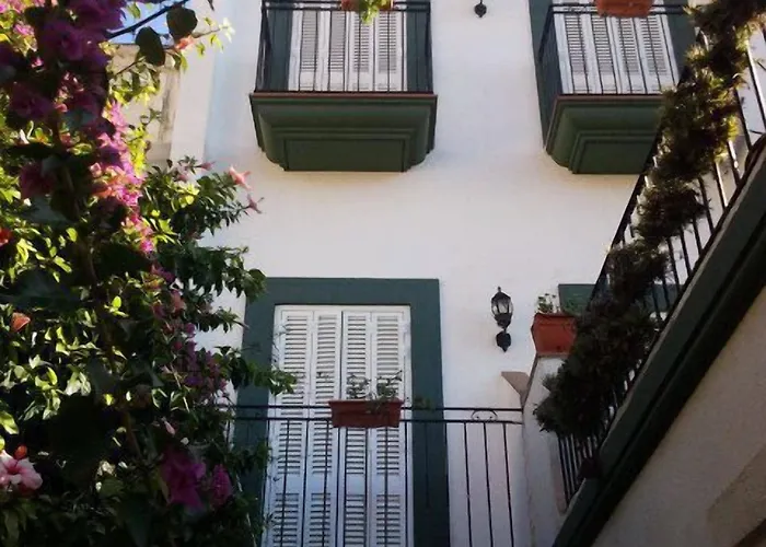 Mitus Canet De Mar