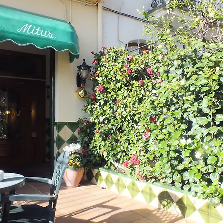 Отель Mitus